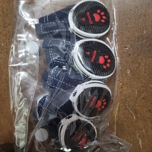 Petrich Tiny breed dog tennis shoes  SZ 1+ sz M sock